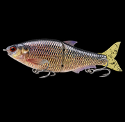 The Bait Boss Glide